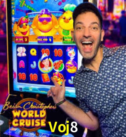 Premium Interface Voj8