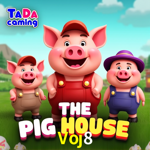 Security Systems Voj8